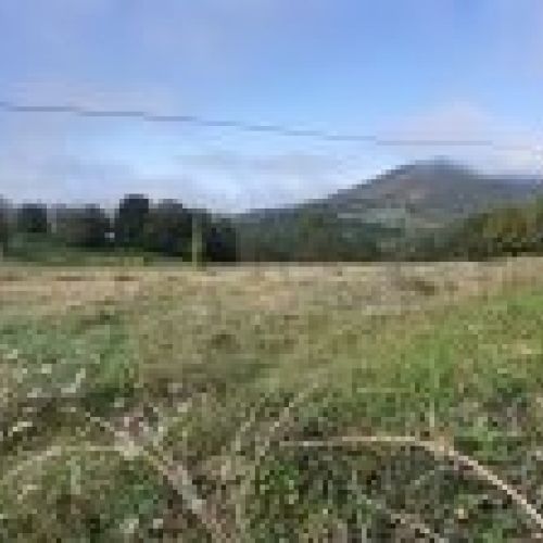 Finca edificable y parcelable en Pintueles   PILOÑA  (FIN