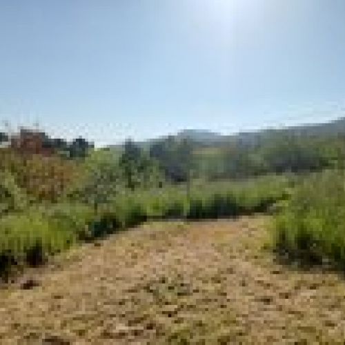 Finca edificable de 3