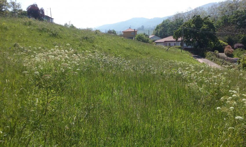 Fincas edificables en VILLAVICIOSA  (FIN