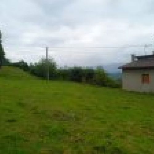 Finca edificable en CABRANES  (FIN