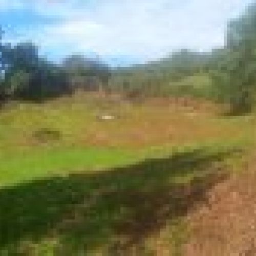 Finca edificable en El Puntal   VILLAVICIOSA (FI