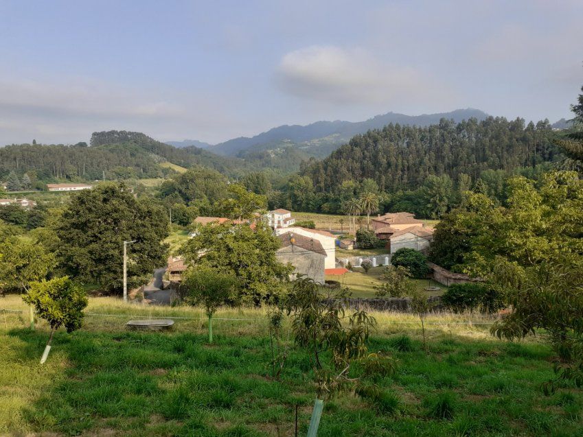 Fincas edificables a 2kms