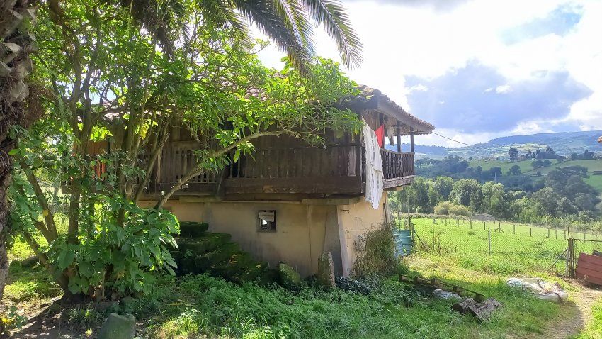Casa de piedra con Cuadras y Llagar para reformar en Quintueles VILLAVICIOSA (REAB