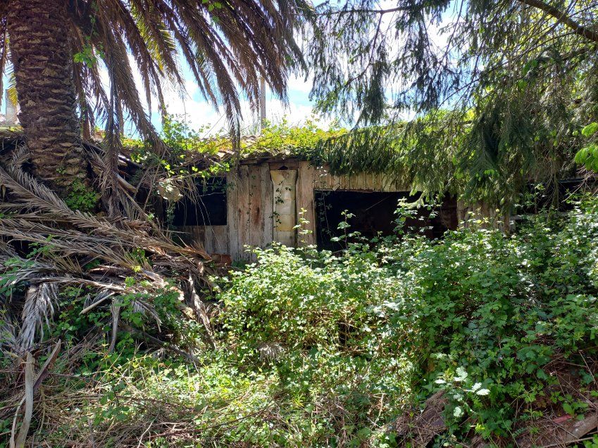 Casa de piedra independiente para rehabilitar  (REAB