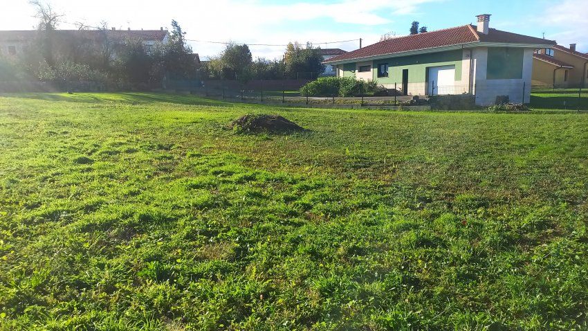 Finca edificable en Oles VILLAVICIOSA (FIN