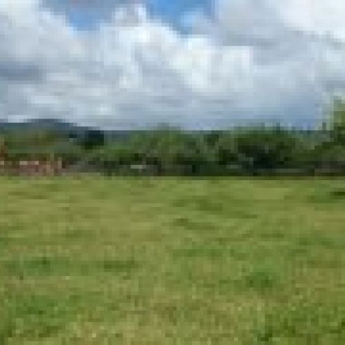 2 Fincas edificables en Selorio   VILLAVICIOSA  (FIN