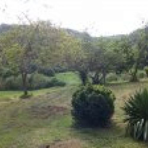 Casa de piedra para rehabilitar con Cuadra y Tenada en CABRANES (REAB