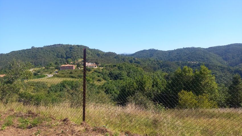 Finca Edificable y Llagar de piedra en VILLAVICIOSA  (FIN