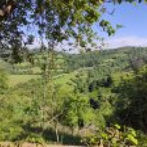 Casa de piedra para rehabilitar en VILLAVICIOSA (REAB