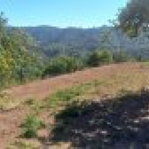 Llagar de piedra para cambio de uso a vivienda en VILLAVICIOSA  y Finca Edificable (REAB