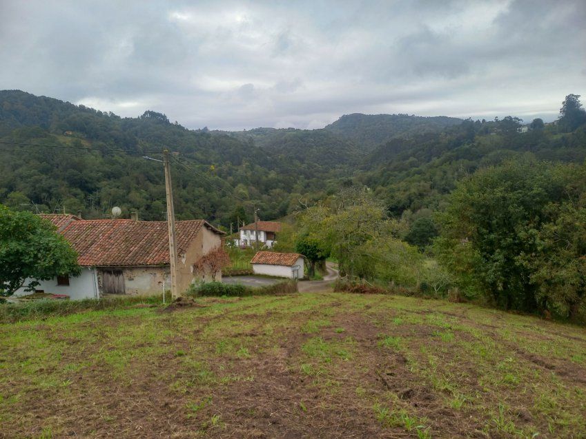 833d538155b8d17232dac0ed7bb914496ccae7d0