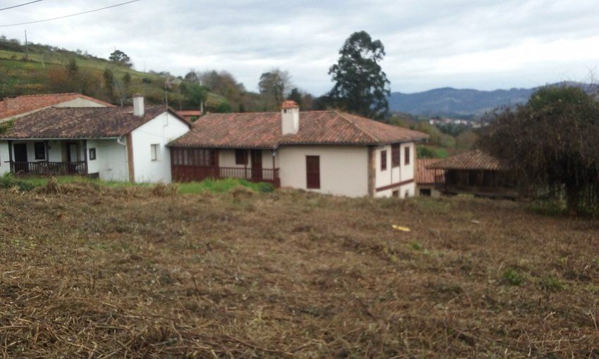 Finca edificable con Panera en Villaviciosa  (FIN