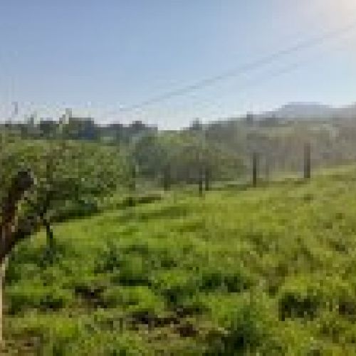 Finca edificable de 3