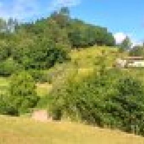 Finca edificable en VILLAVICIOSA  (FIN