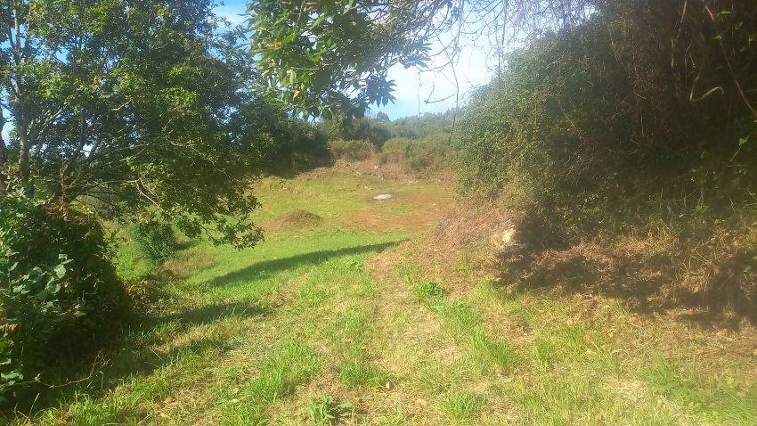 Finca edificable en El Puntal   VILLAVICIOSA (FI