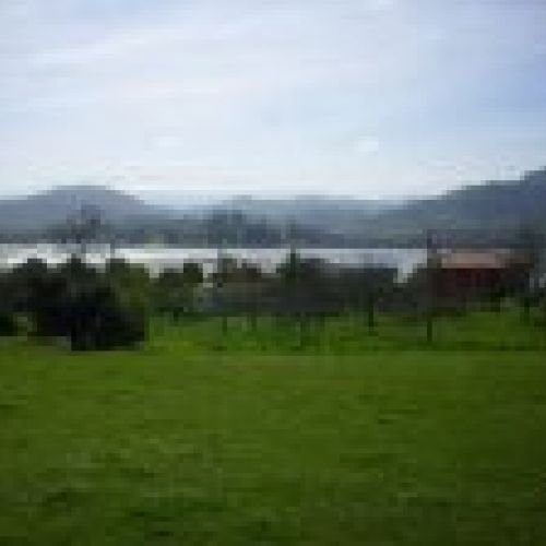 IMG 0005
