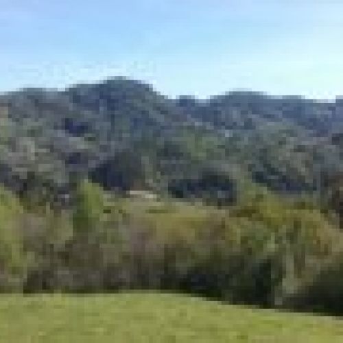 Finca edificable en CABRANES  (FIN