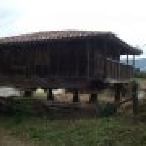 Finca edificable con Panera en Villaviciosa  (FIN