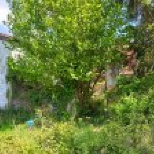 Casa de piedra independiente para rehabilitar  (REAB