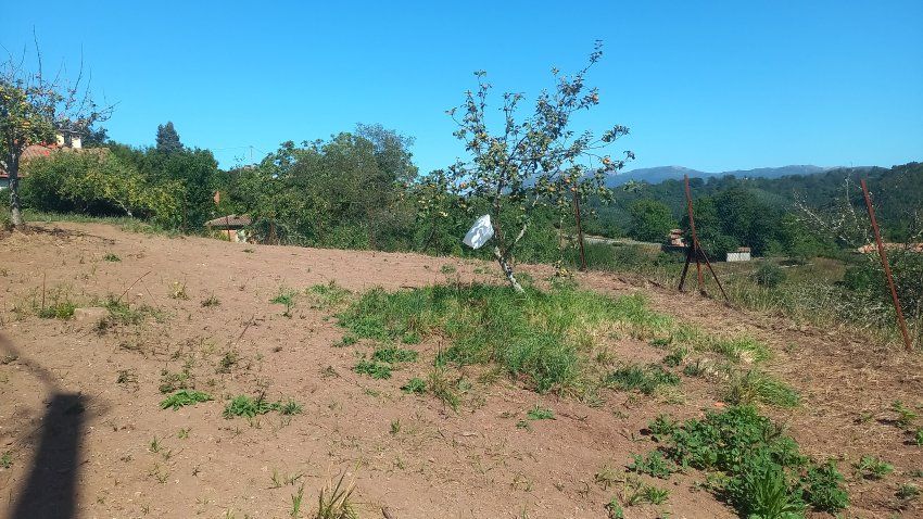 Llagar de piedra para cambio de uso a vivienda en VILLAVICIOSA  y Finca Edificable (REAB