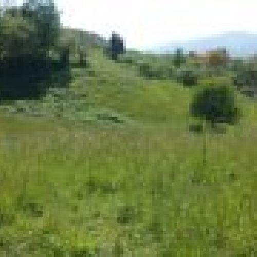 Fincas edificables en VILLAVICIOSA  (FIN