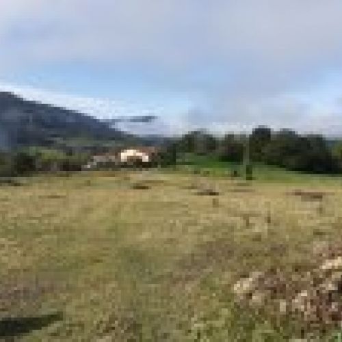 Finca edificable y parcelable en Pintueles   PILOÑA  (FIN