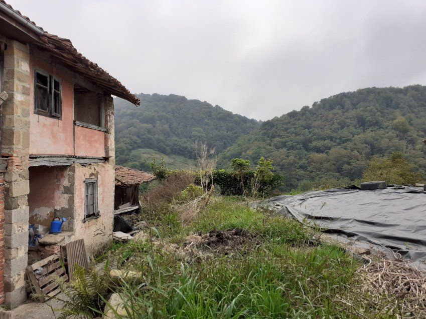 Casa de piedra y Cuadra para rehabilitar en CABRANES  (REAB