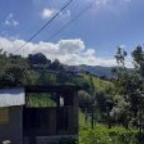 Casa de piedra para rehabilitar en CABRANES  (REAB