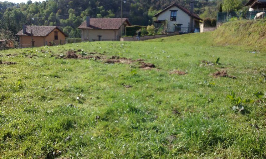 Finca edificable en CABRANES  (FIN