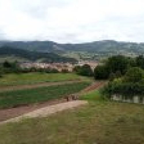 Casa independiente a 1km