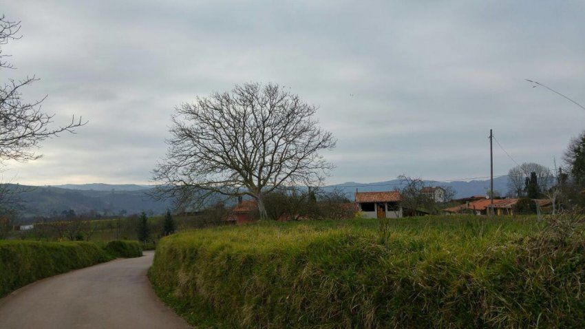 img 20240715 wa0017