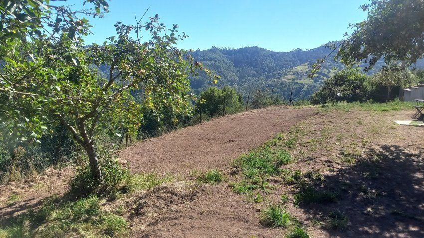 Llagar de piedra para cambio de uso a vivienda en VILLAVICIOSA  y Finca Edificable (REAB