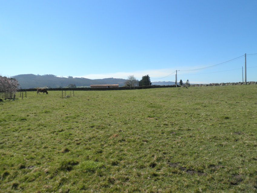 Venta de Fincas Edificables en OLES (VILLAVICIOSA)