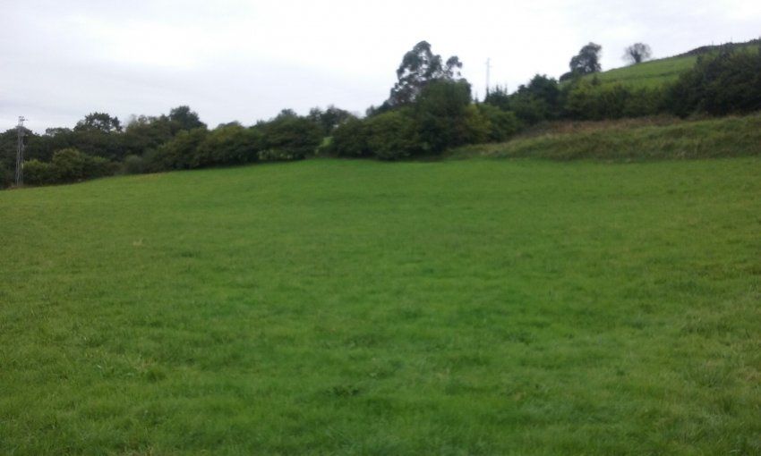 bfd18eef7c7b6a2d0b98725abb38431dd51167c0