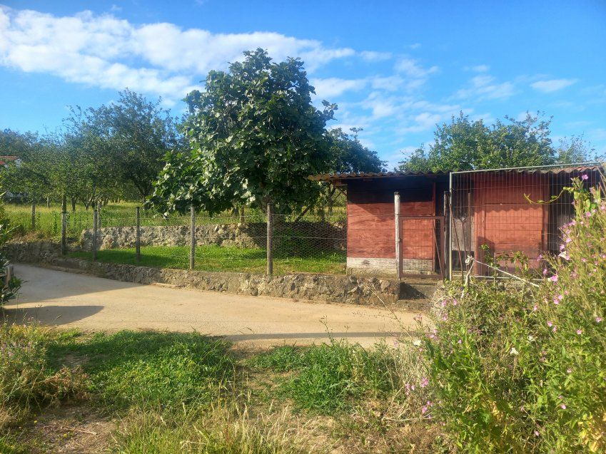 Casa de piedra reformada en Huerres - COLUNGA  (CAS.0291)