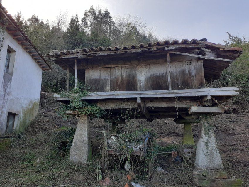 Casa de piedra independiente para reformar en VILLAVICIOSA  (REAB