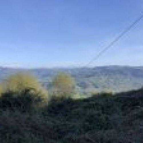 Casa de piedra independiente para reformar en VILLAVICIOSA  (REAB