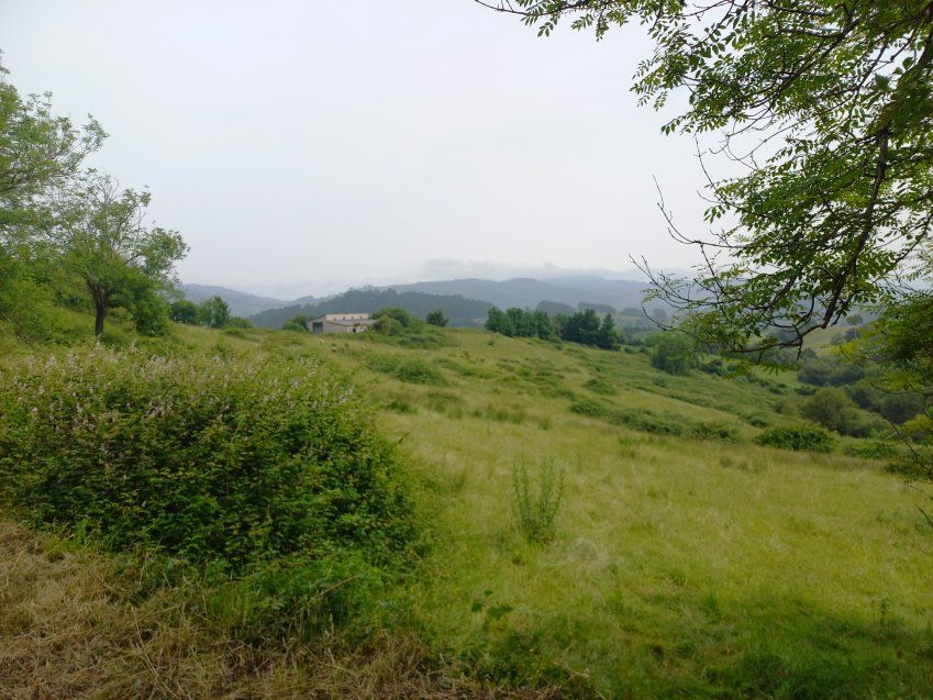 Finca con nave en VILLAVICIOSA  (FIN