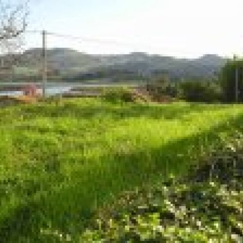 Finca Edificable en El Puntal   VILLAVICIOSA  (FIN