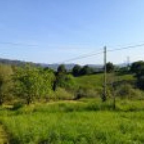 Finca edificable de 3