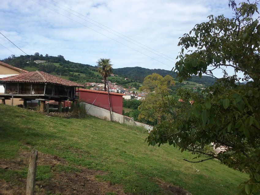 Casa de piedra para rehabilitar con Cuadra y Tenada en CABRANES (REAB