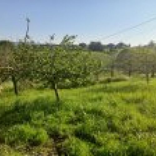 Finca edificable de 3