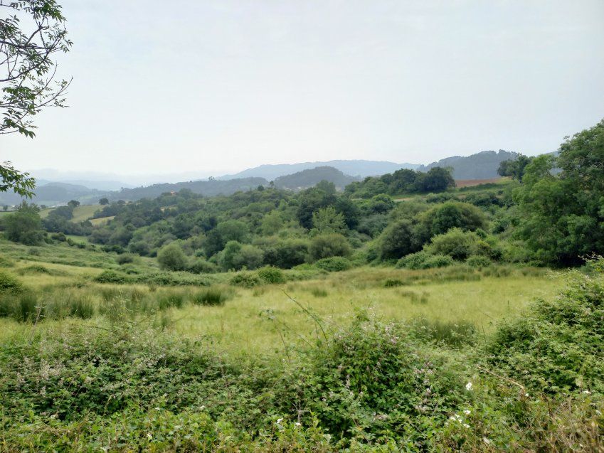 Finca con nave en VILLAVICIOSA  (FIN