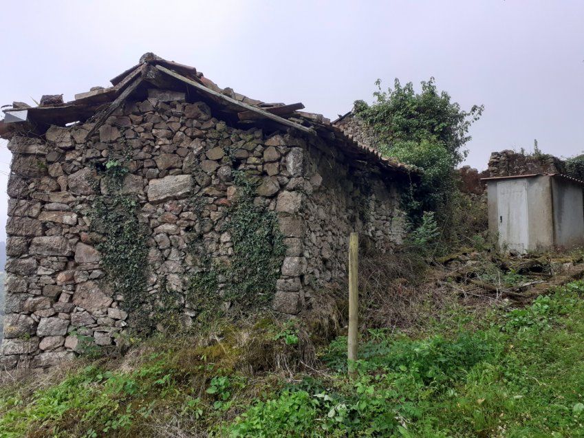 Casa, Cuadra y Llagar para rehabilitar en VILLAVICIOSA  (REAB