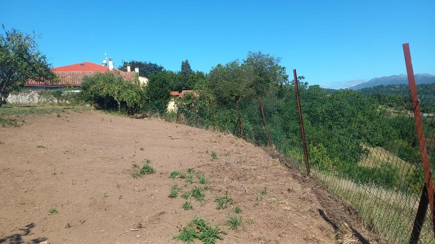 Llagar de piedra para cambio de uso a vivienda en VILLAVICIOSA  y Finca Edificable (REAB