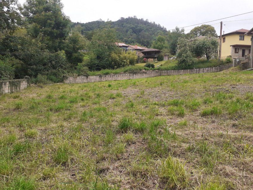 879e7d281e46a7c13df2dd6a4ac573b3a10487f9