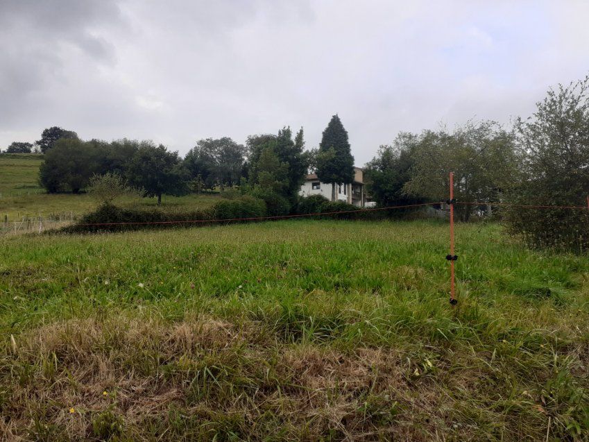 55fbebcad2278be8a5e1d7e172192d7c3be9a3f5