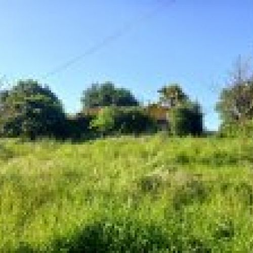 Casa independiente ubicada en finca edificable en Bedriñana   VILLAVICIOSA (CAS