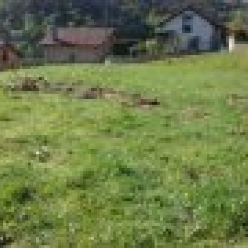 Finca edificable en CABRANES  (FIN