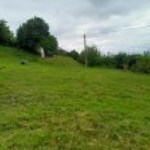 Finca edificable en CABRANES  (FIN